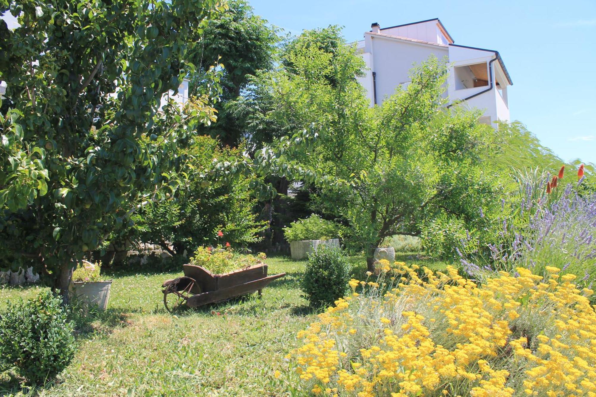 Apartments 501 - Rab Island Oasis Retreat 苏佩塔斯卡德拉加 外观 照片