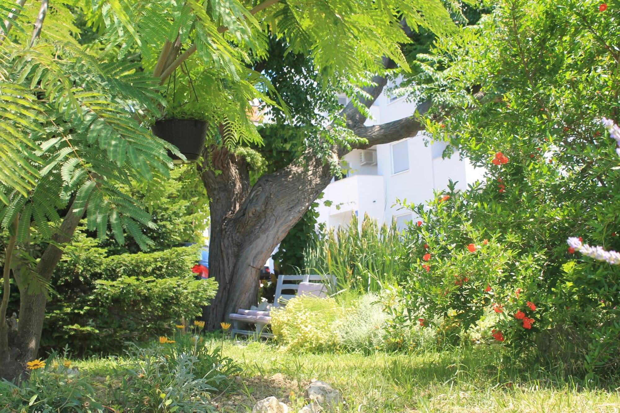 Apartments 501 - Rab Island Oasis Retreat 苏佩塔斯卡德拉加 外观 照片